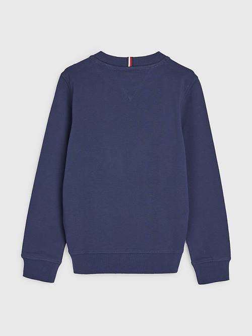 Tommy Hilfiger Graphic Tape Logo Sweatshirt Erkek Çocuk Mavi | TH492FUG