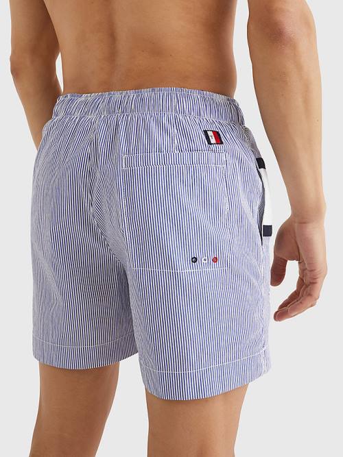 Tommy Hilfiger Ithaca Stripe Colour-Blocked Mid Cut Cut Cut Length Shorts Mayo Erkek Mavi | TH143GIA