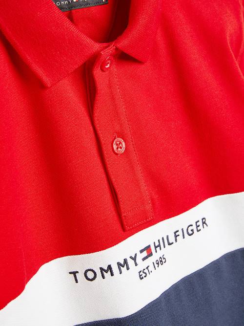 Tommy Hilfiger Logo Colour-Blocked Polo Tişört Erkek Çocuk Mavi | TH736ONX