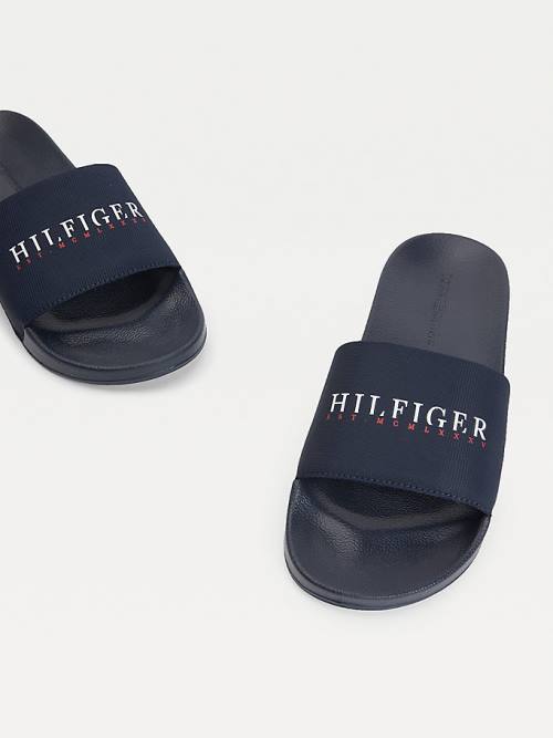 Tommy Hilfiger Logo Slides Sandalet Erkek Mavi | TH829SYA