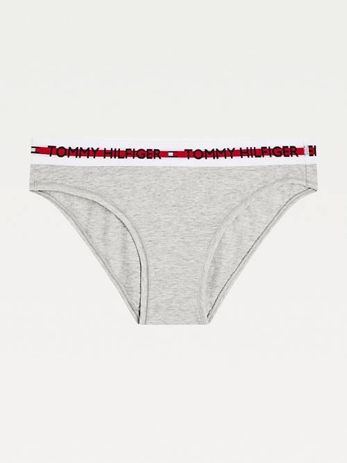 Tommy Hilfiger Logo Tape Waistband Briefs İç Giyim Kadın Gri | TH718BPZ