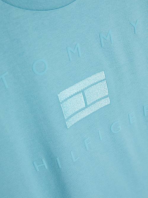 Tommy Hilfiger Logo Tişört Erkek Çocuk Mavi | TH420YQB