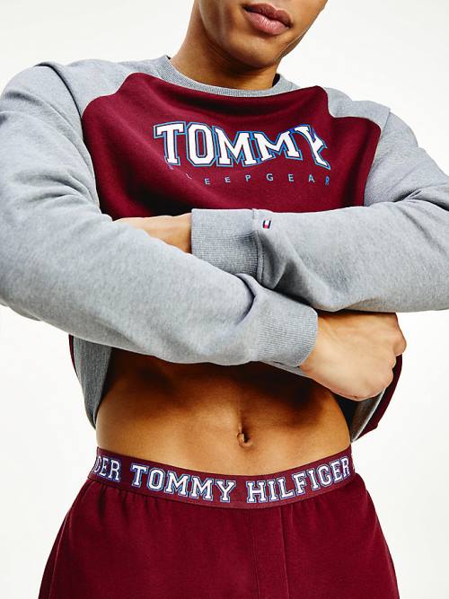 Tommy Hilfiger Logo Waistband Lounge Joggers Pijama Erkek Mor | TH417ZHI