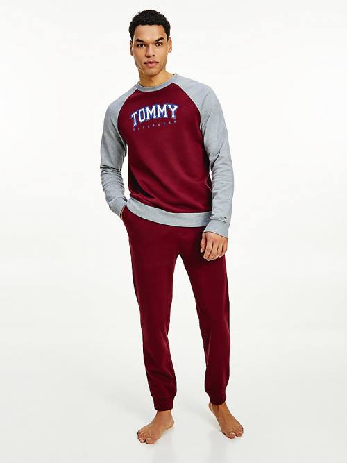 Tommy Hilfiger Logo Waistband Lounge Joggers Pijama Erkek Mor | TH417ZHI