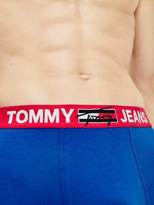 Tommy Hilfiger Logo Waistband Trunks İç Giyim Erkek Mavi | TH568BVC