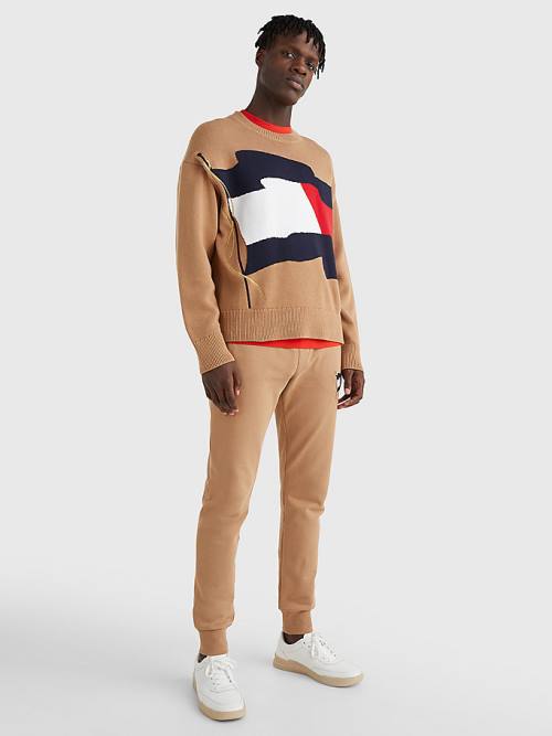 Tommy Hilfiger Motion Flag Crew Neck Jumper Kazak Erkek Kahverengi | TH286VBW