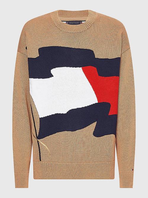 Tommy Hilfiger Motion Flag Crew Neck Jumper Kazak Erkek Kahverengi | TH286VBW