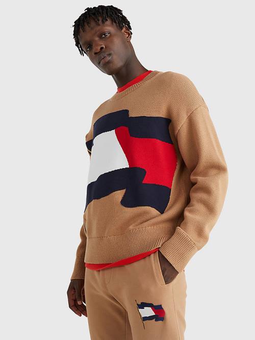 Tommy Hilfiger Motion Flag Crew Neck Jumper Kazak Erkek Kahverengi | TH286VBW