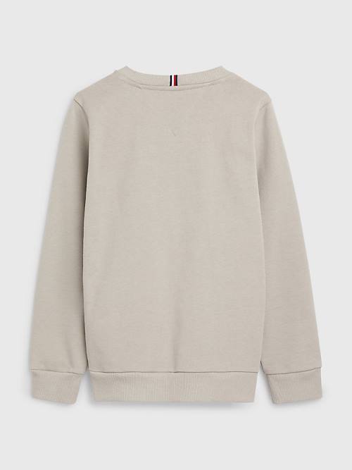 Tommy Hilfiger Natural Earth Dye Sweatshirt Erkek Çocuk Gri | TH853DBV