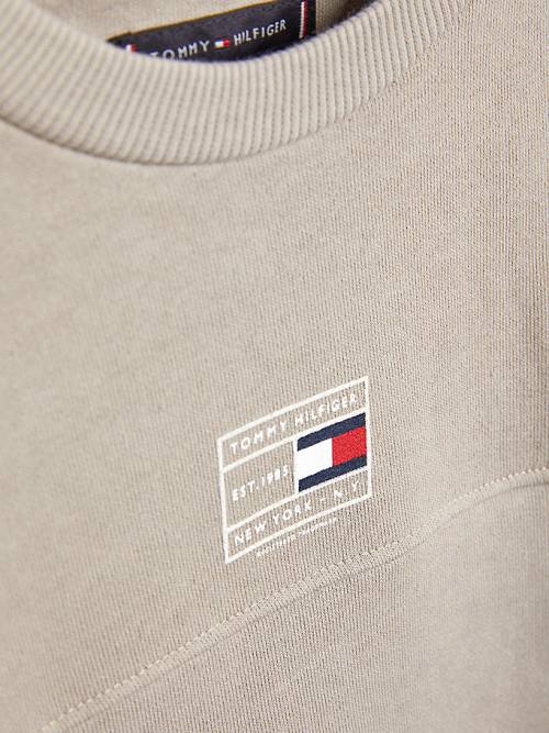 Tommy Hilfiger Natural Earth Dye Sweatshirt Erkek Çocuk Gri | TH853DBV