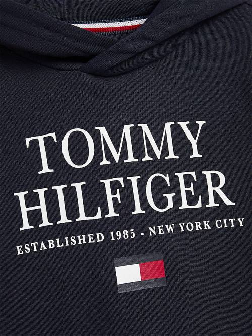 Tommy Hilfiger Organic Pamuklu Logo Kapüşonlu Sweatshirt Erkek Çocuk Mavi | TH507MJF