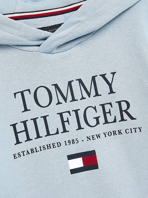 Tommy Hilfiger Organic Pamuklu Logo Kapüşonlu Sweatshirt Erkek Çocuk Mavi | TH967OJR