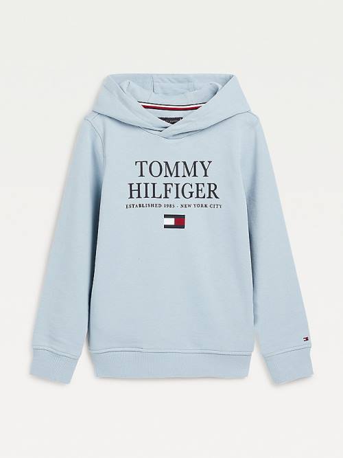 Tommy Hilfiger Organic Pamuklu Logo Kapüşonlu Sweatshirt Erkek Çocuk Mavi | TH967OJR