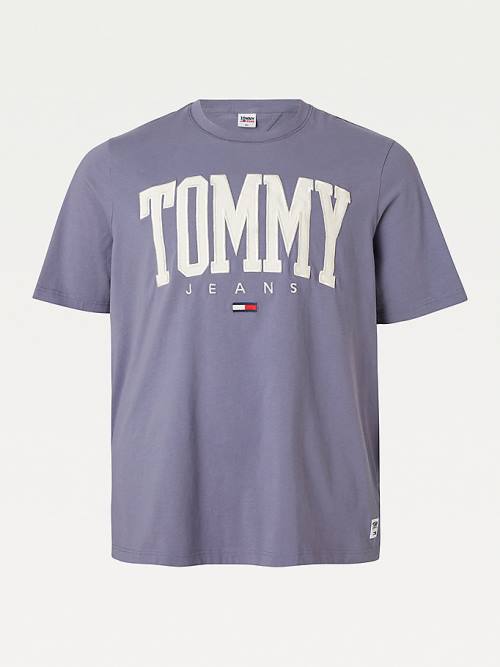 Tommy Hilfiger Plus College Bold Logo Klasik Tişört Erkek Mor | TH298XIE