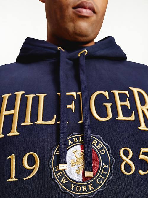 Tommy Hilfiger Plus Icons Logo Embroidery Relaxed Fit Kapüşonlu Sweatshirt Erkek Mavi | TH278DFT