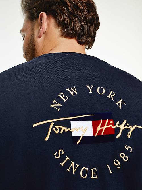 Tommy Hilfiger Plus Icons Long Sleeve Tişört Erkek Mavi | TH684ORD