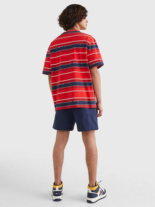 Tommy Hilfiger Stripe Organic Pamuklu Tişört Erkek Mavi | TH218XQE