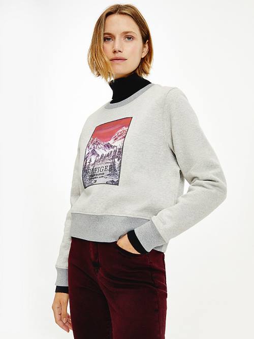 Tommy Hilfiger Tommy Icons Landscape Logo Sweatshirt Kadın Gri | TH245UTW