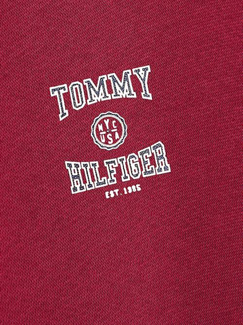 Tommy Hilfiger Varsity Logo Slouchy Kapüşonlu Sweatshirt Kiz Çocuk Kırmızı | TH736COB